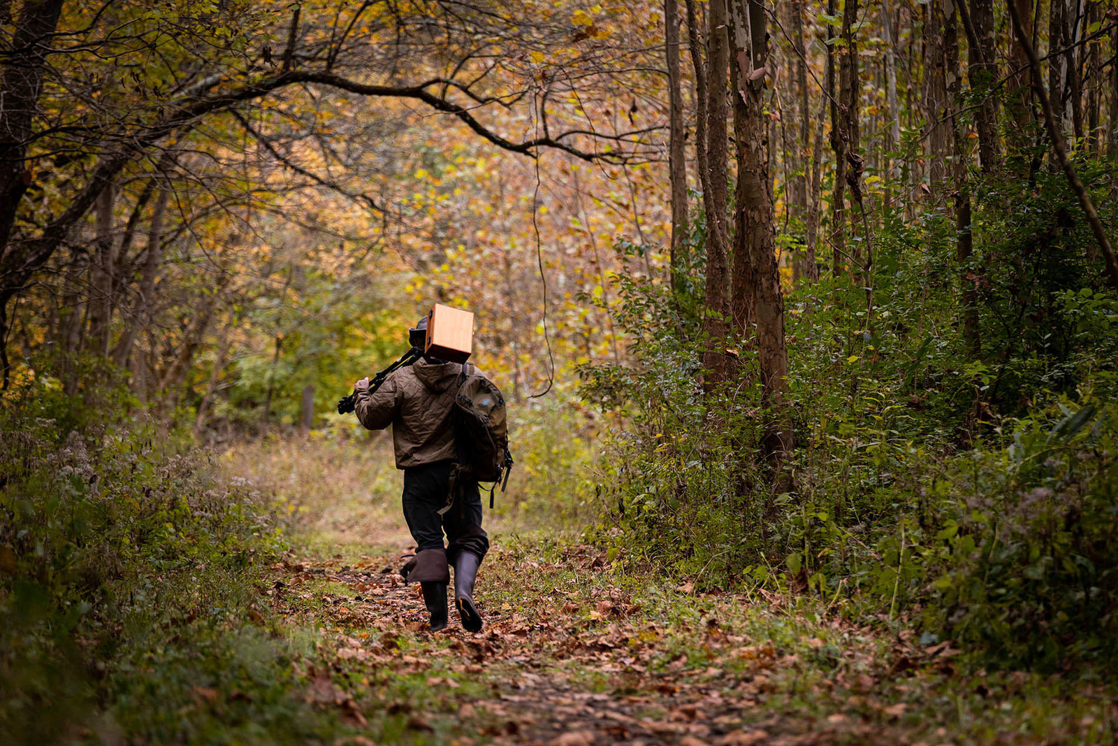 artist clint bova walking on a path in the woods with his easel over his shoulder